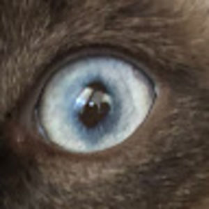 Meet your Posher, General